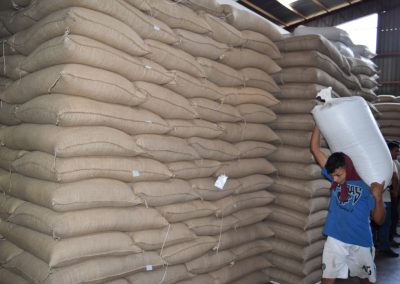 guy carrying large back of coffee beans next to tall stacks of bags