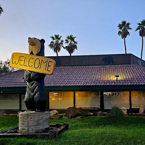 Black-Bear-Lake-Havasu