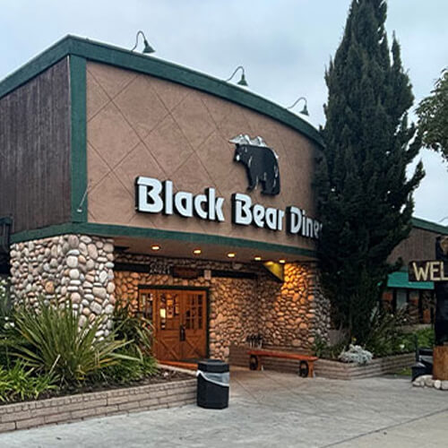 Black-Bear-Torrance