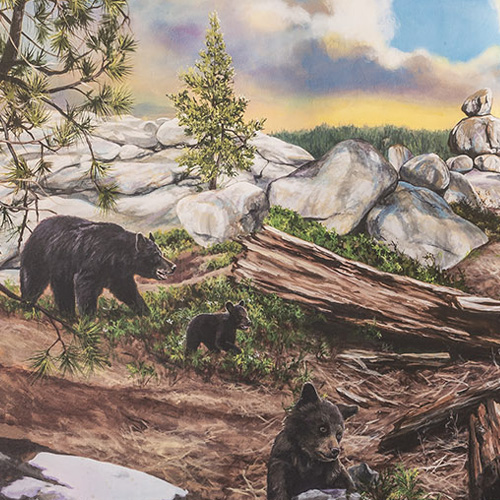 Woodland store image