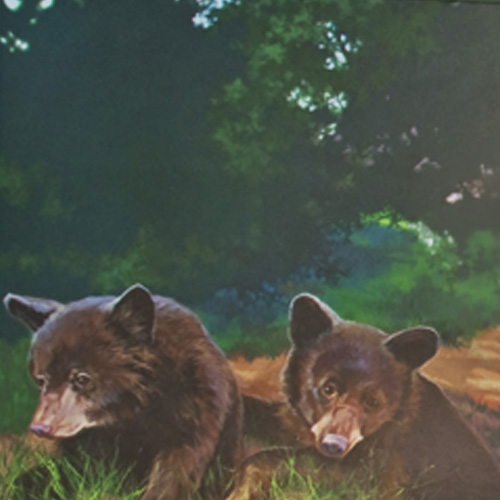 Sunnyvale store image