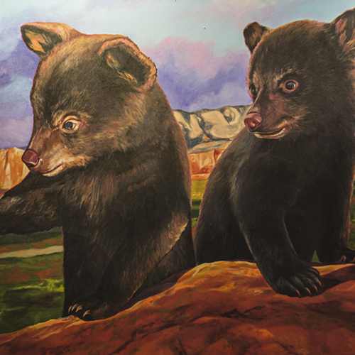 Sugar Land store image